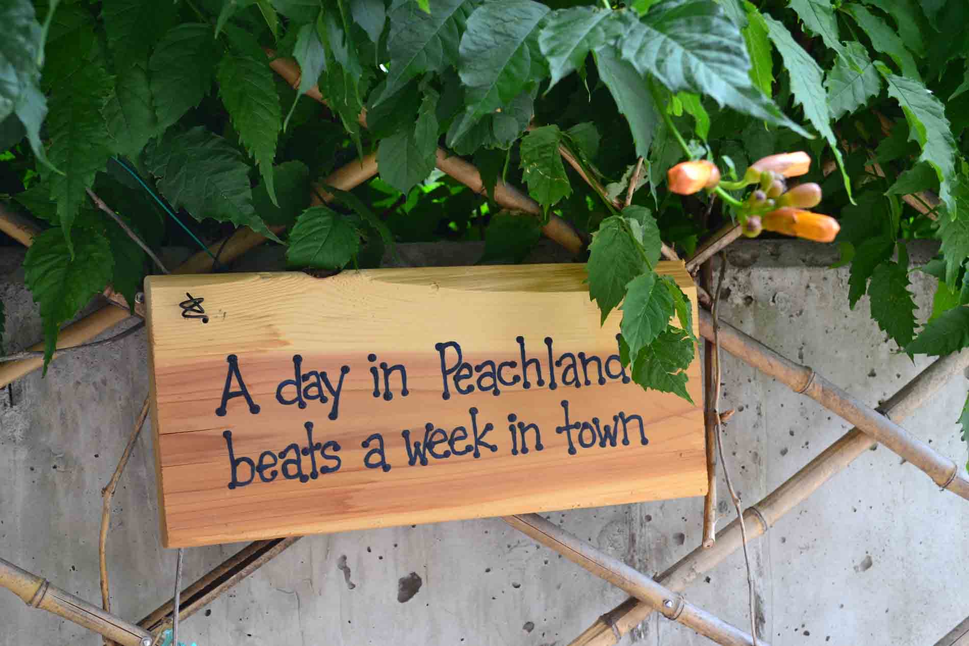 Garden Decoration Poolside Retreat