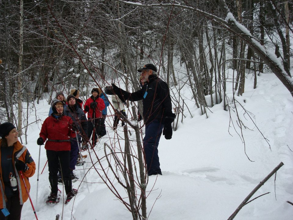 Snowshoeing Okanagan